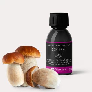 Aroma Natural Porcino | Neroliane