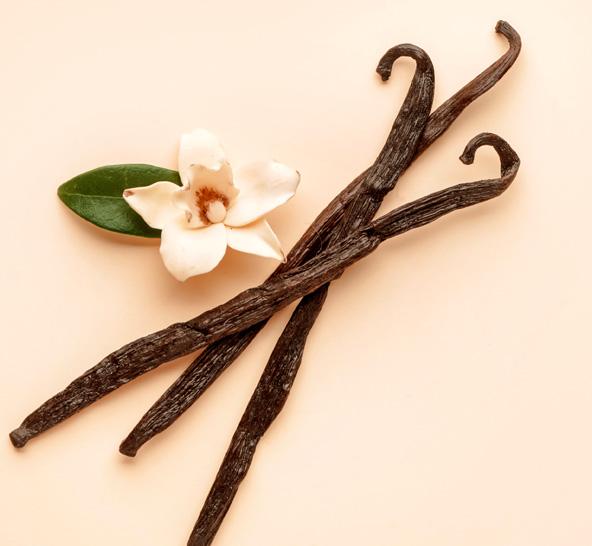 Come si produce l'aroma di vaniglia?